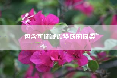 包含可調減震墊鐵的詞條